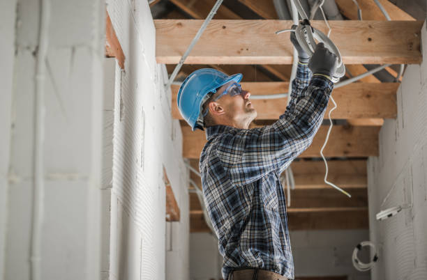 Best Electrician for Home Renovation  in Palestine, IL
