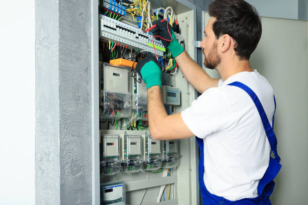 Best Electrical Troubleshooting Services  in Palestine, IL