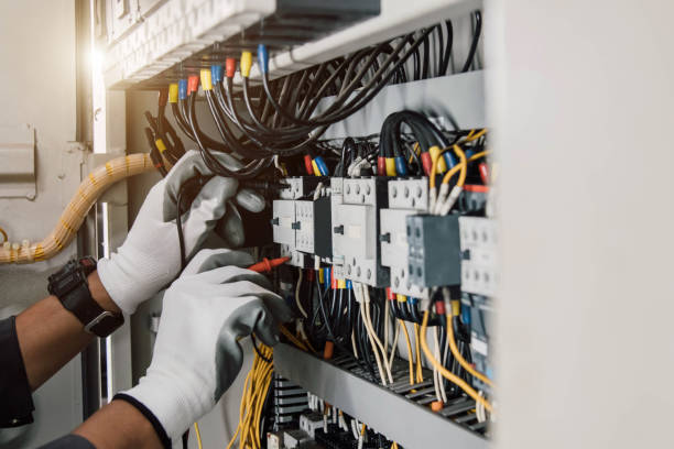 Best Affordable Electrician  in Palestine, IL